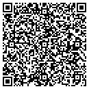 QR code with Premier Manufacturing contacts