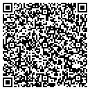 QR code with Cestaro & Sons Inc contacts