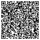QR code with Blu Ray Disc Association contacts