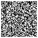 QR code with Procure Data contacts