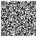 QR code with Pro Data View contacts