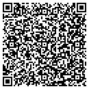 QR code with Pzt Consulting LLC contacts