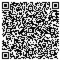 QR code with PDM Co contacts