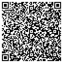 QR code with Carroll Company Inc contacts