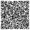 QR code with Blue Hen Roofing Inc contacts