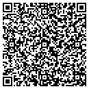 QR code with PTV America Inc contacts