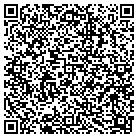 QR code with Pullin & Sons Painting contacts