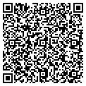 QR code with Site T31 contacts