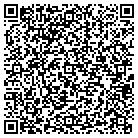 QR code with Publication Consultants contacts