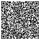 QR code with Pruess Designs contacts