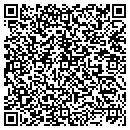 QR code with Pv Floor Covering LLC contacts