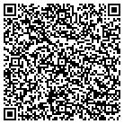 QR code with Blue Earth Consulting Inc contacts