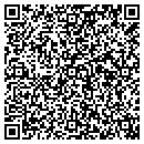 QR code with Cross Stitch Treasures contacts