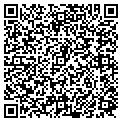 QR code with P Gnehm contacts