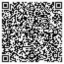 QR code with Blue Springs LLC contacts