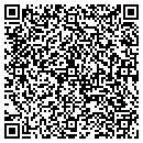 QR code with Project Mayhem LLC contacts