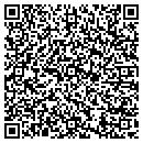 QR code with Professional Tech Services contacts