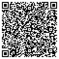 QR code with Solvay contacts