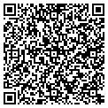 QR code with Ivy Tree contacts