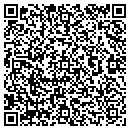 QR code with Chameleon Home Decor contacts