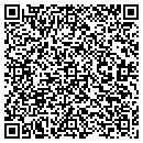 QR code with Practical Bail Bonds contacts