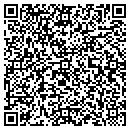 QR code with Pyramid Films contacts