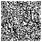 QR code with Pulaski/White Security contacts