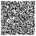 QR code with Anthem contacts