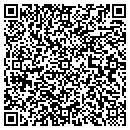 QR code with CT Tree Farms contacts