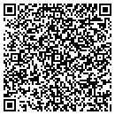 QR code with Chicot County Museum contacts