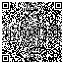 QR code with Chaneys Auto Repair contacts