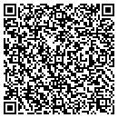 QR code with Chapman Wiregrass Inc contacts