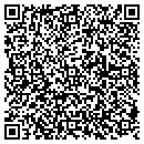 QR code with Blue Ridge Sales Inc contacts