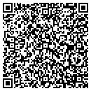 QR code with Prins Insurance Inc contacts