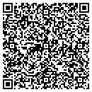 QR code with Boise Construction contacts