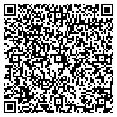 QR code with Pulpitman The contacts