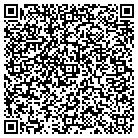 QR code with Pulaski Cnty Internal Auditor contacts