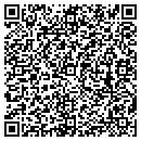 QR code with Colnsvl Twp Road Dist contacts