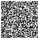 QR code with Pro Active Solutions contacts
