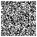 QR code with Precision Financial contacts
