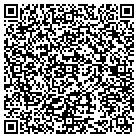 QR code with Professional Aviation Inc contacts