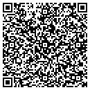 QR code with Clinton County Clerk contacts
