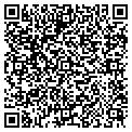 QR code with STF Inc contacts