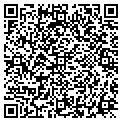 QR code with Litel contacts