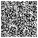 QR code with Baldwin City Signal contacts