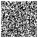 QR code with Purge Plug Inc contacts