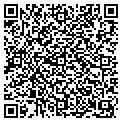 QR code with Vishay contacts