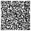 QR code with Pyles Engineering contacts
