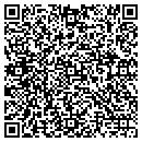 QR code with Preferred Computers contacts