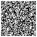 QR code with Cochise County Realty contacts